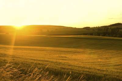 harvest field istock 000003600810large 400