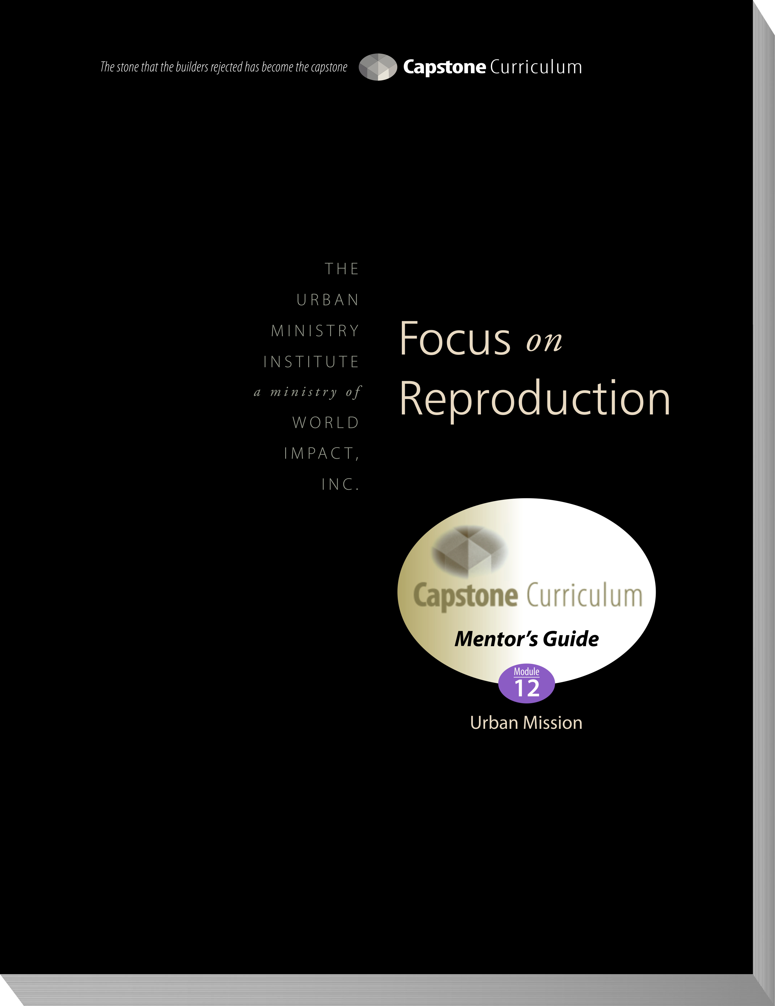 module 08 mentor guide